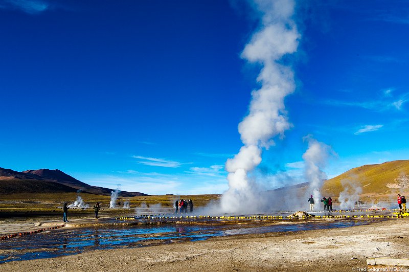 20160331_084253 D3S.jpg - The hot subterranean water builds up pressure through cracks in the earth's crust.   The boiing water water reaches temperstures of about 185 degrees (the boiling point at this altitude).  The steam vents called fumaroles are the result of the contrast with the cold ambient air, and can reach heights of up to 30 feet